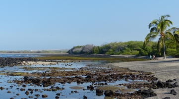 Kaloko-Honokohau beach